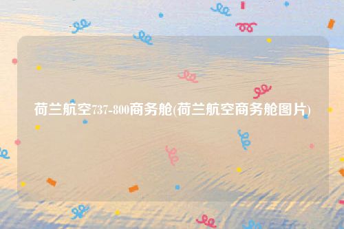 荷兰航空737-800商务舱(荷兰航空商务舱图片)
