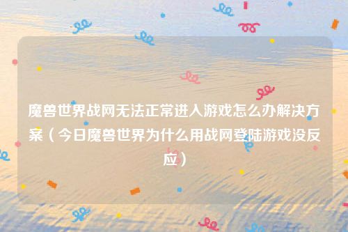 魔兽世界战网无法正常进入游戏怎么办解决方案（今日魔兽世界为什么用战网登陆游戏没反应）
