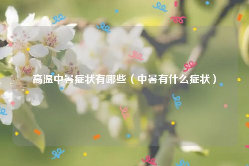 高温中暑症状有哪些（中暑有什么症状）