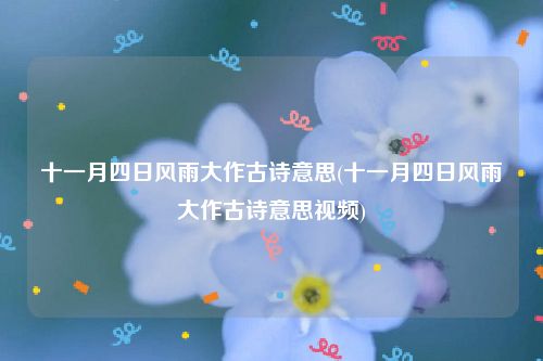 十一月四日风雨大作古诗意思(十一月四日风雨大作古诗意思视频)