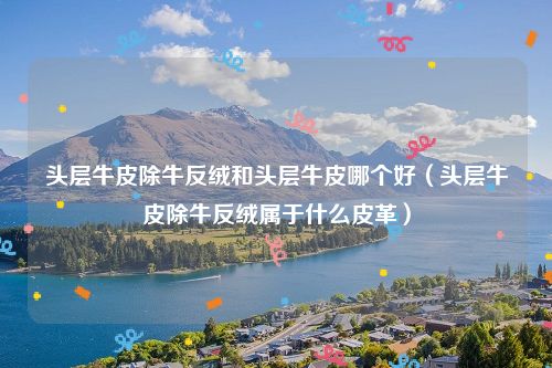 头层牛皮除牛反绒和头层牛皮哪个好（头层牛皮除牛反绒属于什么皮革）