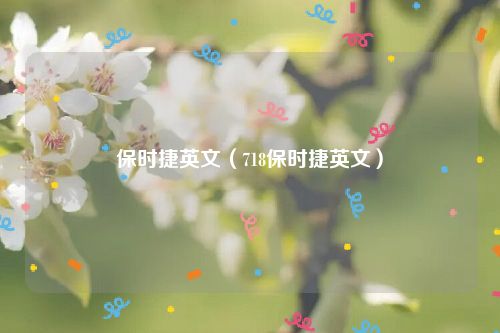 保时捷英文（718保时捷英文）