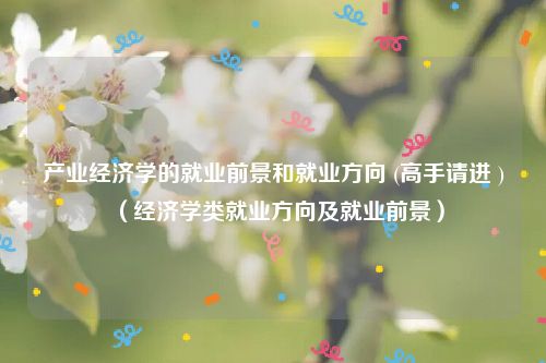 产业经济学的就业前景和就业方向 (高手请进 )（经济学类就业方向及就业前景）