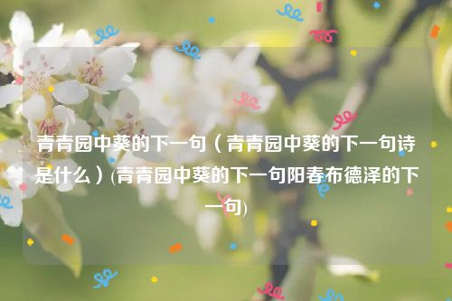 青青园中葵的下一句（青青园中葵的下一句诗是什么）(青青园中葵的下一句阳春布德泽的下一句)