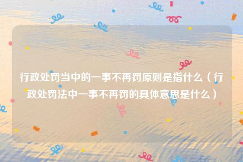 行政处罚当中的一事不再罚原则是指什么（行政处罚法中一事不再罚的具体意思是什么）