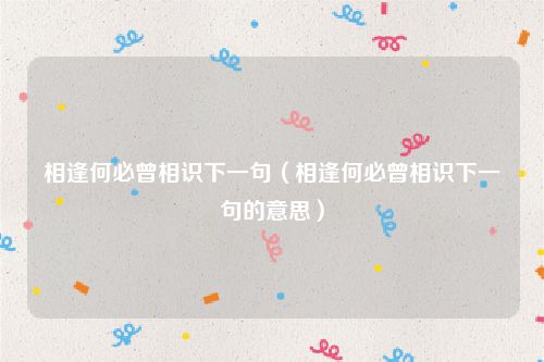 相逢何必曾相识下一句（相逢何必曾相识下一句的意思）