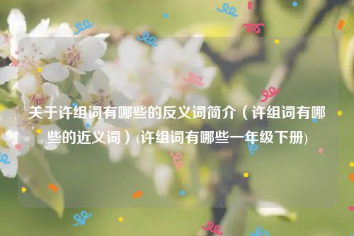 关于许组词有哪些的反义词简介（许组词有哪些的近义词）(许组词有哪些一年级下册)