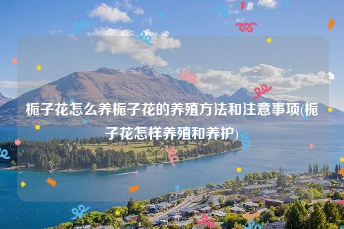 栀子花怎么养栀子花的养殖方法和注意事项(栀子花怎样养殖和养护)