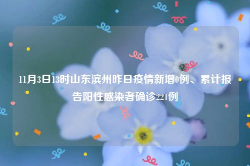 11月3日13时山东滨州昨日疫情新增0例、累计报告阳性感染者确诊221例