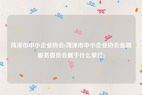 菏泽市中小企业协会(菏泽市中小企业协会金融服务委员会属于什么单位)