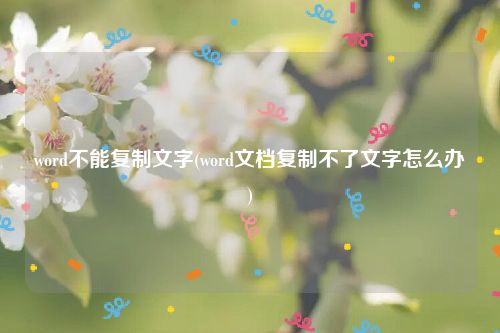 word不能复制文字(word文档复制不了文字怎么办)
