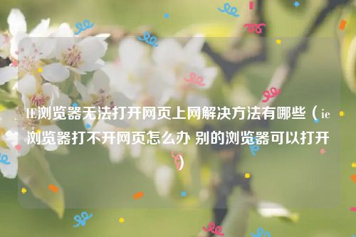 IE浏览器无法打开网页上网解决方法有哪些（ie浏览器打不开网页怎么办 别的浏览器可以打开）