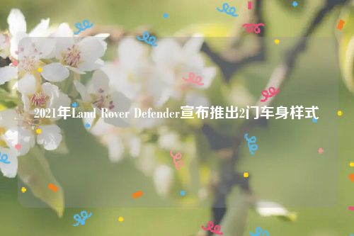 2021年Land Rover Defender宣布推出2门车身样式