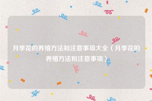 月季花的养殖方法和注意事项大全（月季花的养殖方法和注意事项）