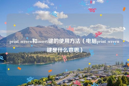 print screen和insert键的使用方法（电脑print screen键是什么意思）