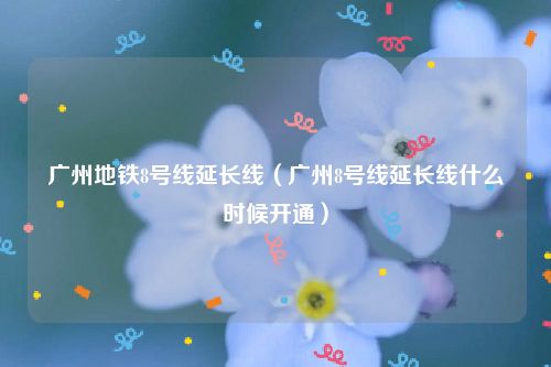 广州地铁8号线延长线（广州8号线延长线什么时候开通）