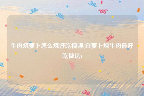 牛肉烧萝卜怎么烧好吃视频(白萝卜炖牛肉最好吃做法)