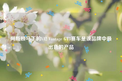 阿斯顿马丁的V12 Vantage GT3赛车是该品牌中最出色的产品