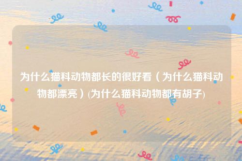 为什么猫科动物都长的很好看（为什么猫科动物都漂亮）(为什么猫科动物都有胡子)