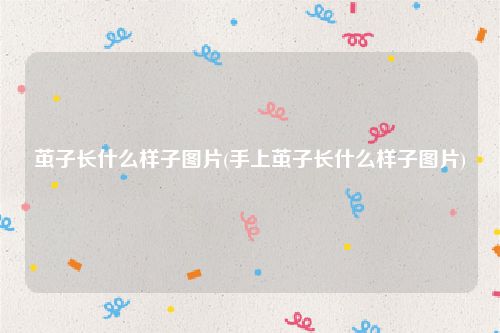 茧子长什么样子图片(手上茧子长什么样子图片)