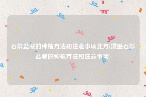 石斛盆栽的种植方法和注意事项北方(泼墨石斛盆栽的种植方法和注意事项)