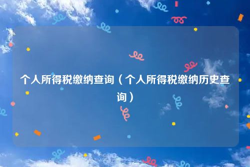 个人所得税缴纳查询（个人所得税缴纳历史查询）
