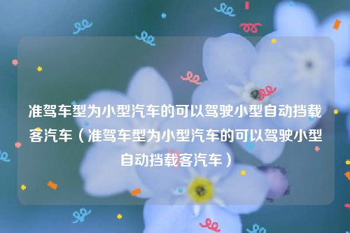 准驾车型为小型汽车的可以驾驶小型自动挡载客汽车（准驾车型为小型汽车的可以驾驶小型自动挡载客汽车）