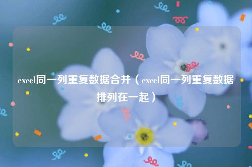 excel同一列重复数据合并（excel同一列重复数据排列在一起）