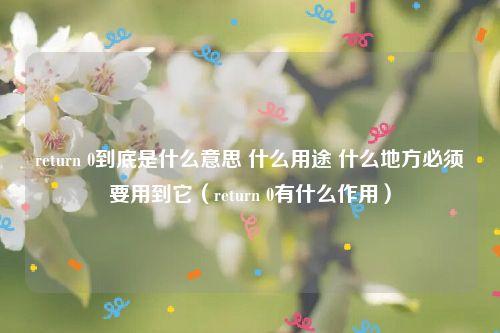 return 0到底是什么意思 什么用途 什么地方必须要用到它（return 0有什么作用）