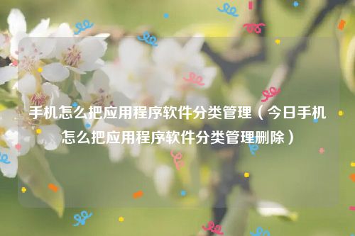 手机怎么把应用程序软件分类管理（今日手机怎么把应用程序软件分类管理删除）