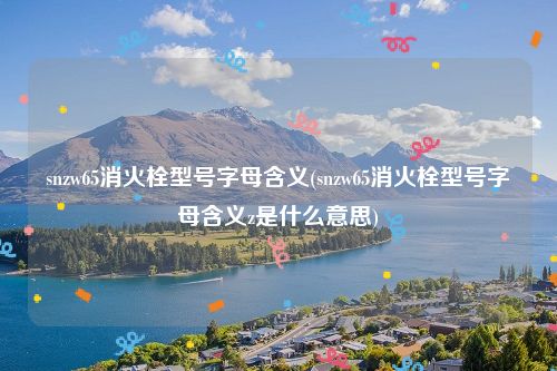 snzw65消火栓型号字母含义(snzw65消火栓型号字母含义z是什么意思)