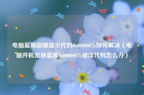 电脑蓝屏故障显示代码0x0000007b如何解决（电脑开机出现蓝屏0x0000007b错误代码怎么办）