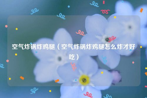 空气炸锅炸鸡腿（空气炸锅炸鸡腿怎么炸才好吃）
