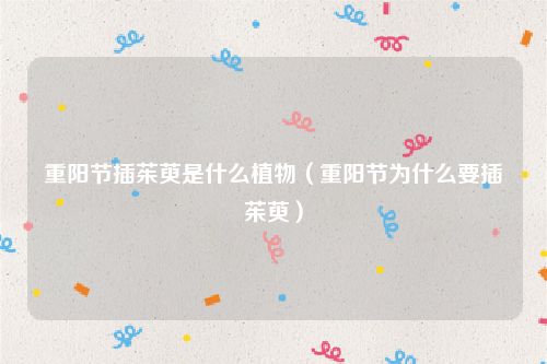 重阳节插茱萸是什么植物（重阳节为什么要插茱萸）