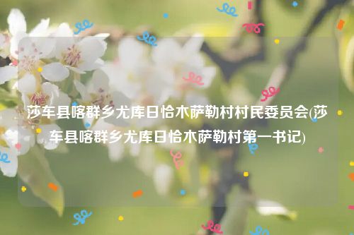 莎车县喀群乡尤库日恰木萨勒村村民委员会(莎车县喀群乡尤库日恰木萨勒村第一书记)