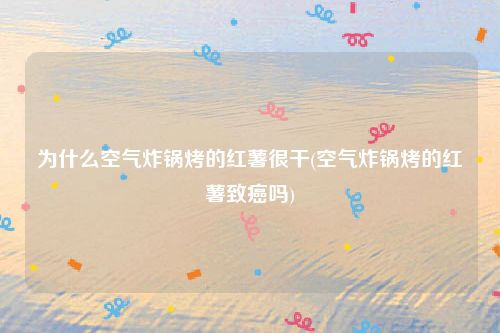 为什么空气炸锅烤的红薯很干(空气炸锅烤的红薯致癌吗)
