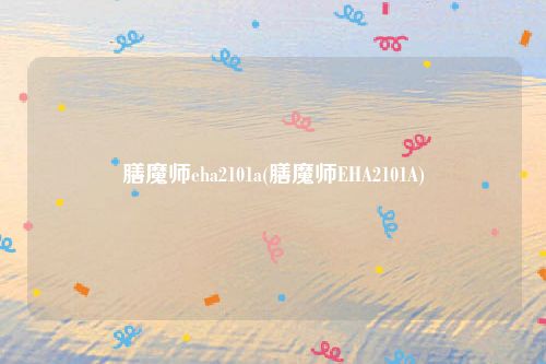 膳魔师eha2101a(膳魔师EHA2101A)