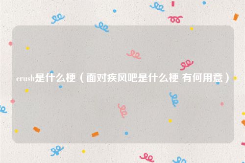 crush是什么梗（面对疾风吧是什么梗 有何用意）