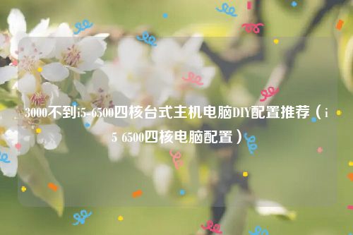 3000不到i5-6500四核台式主机电脑DIY配置推荐（i5 6500四核电脑配置）