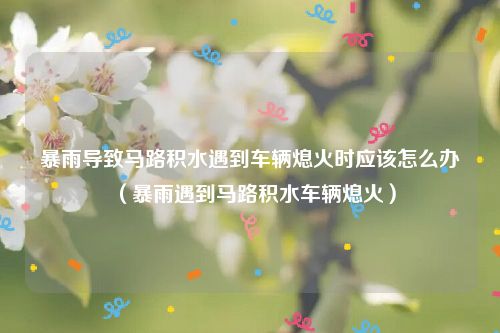 暴雨导致马路积水遇到车辆熄火时应该怎么办（暴雨遇到马路积水车辆熄火）