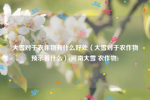 大雪对于农作物有什么好处（大雪对于农作物预示着什么）(河南大雪 农作物)
