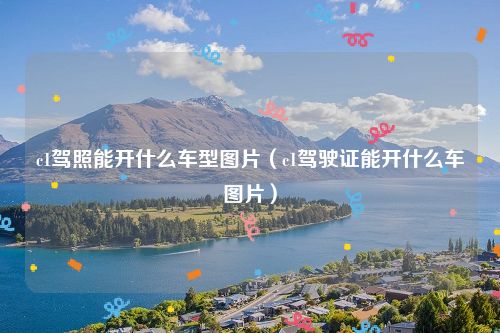 c1驾照能开什么车型图片（c1驾驶证能开什么车图片）