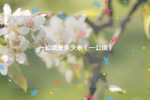 一公顷是多少米（一公顷）