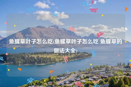 鱼腥草叶子怎么吃(鱼腥草叶子怎么吃 鱼腥草的做法大全)