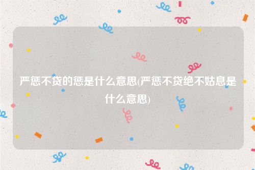 严惩不贷的惩是什么意思(严惩不贷绝不姑息是什么意思)