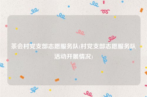 茶会村党支部志愿服务队(村党支部志愿服务队活动开展情况)