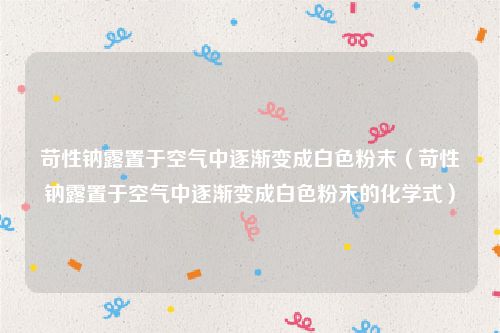 苛性钠露置于空气中逐渐变成白色粉末（苛性钠露置于空气中逐渐变成白色粉末的化学式）