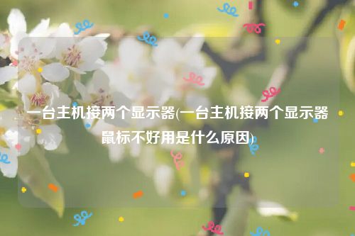 一台主机接两个显示器(一台主机接两个显示器鼠标不好用是什么原因)