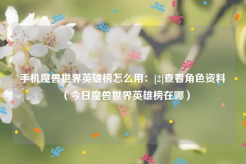 手机魔兽世界英雄榜怎么用：[2]查看角色资料（今日魔兽世界英雄榜在哪）