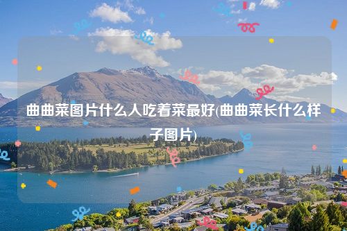 曲曲菜图片什么人吃着菜最好(曲曲菜长什么样子图片)